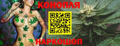 дмт Новозыбков