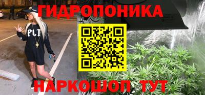 дмт Новозыбков
