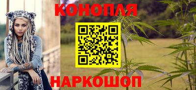 дмт Новозыбков