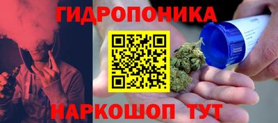 дмт Новозыбков