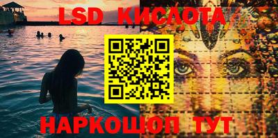 дмт Новозыбков